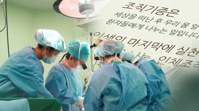 Hàn Quốc nới lỏng quy định hiến tạng do khan hiếm - Ảnh 1.