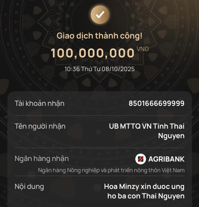 Các nghệ sĩ ủng hộ đồng bào Thái Nguyên vượt bão lũ - Ảnh 1.