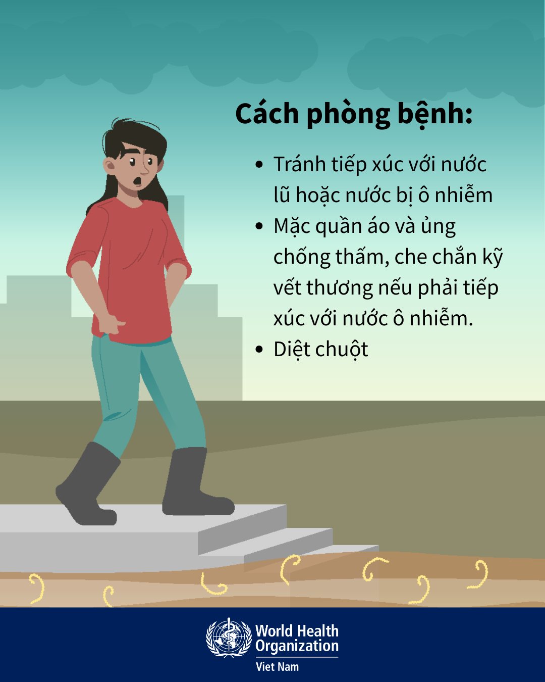 Cẩn trọng với bệnh xoắn khuẩn vàng da mùa lũ- Ảnh 5.